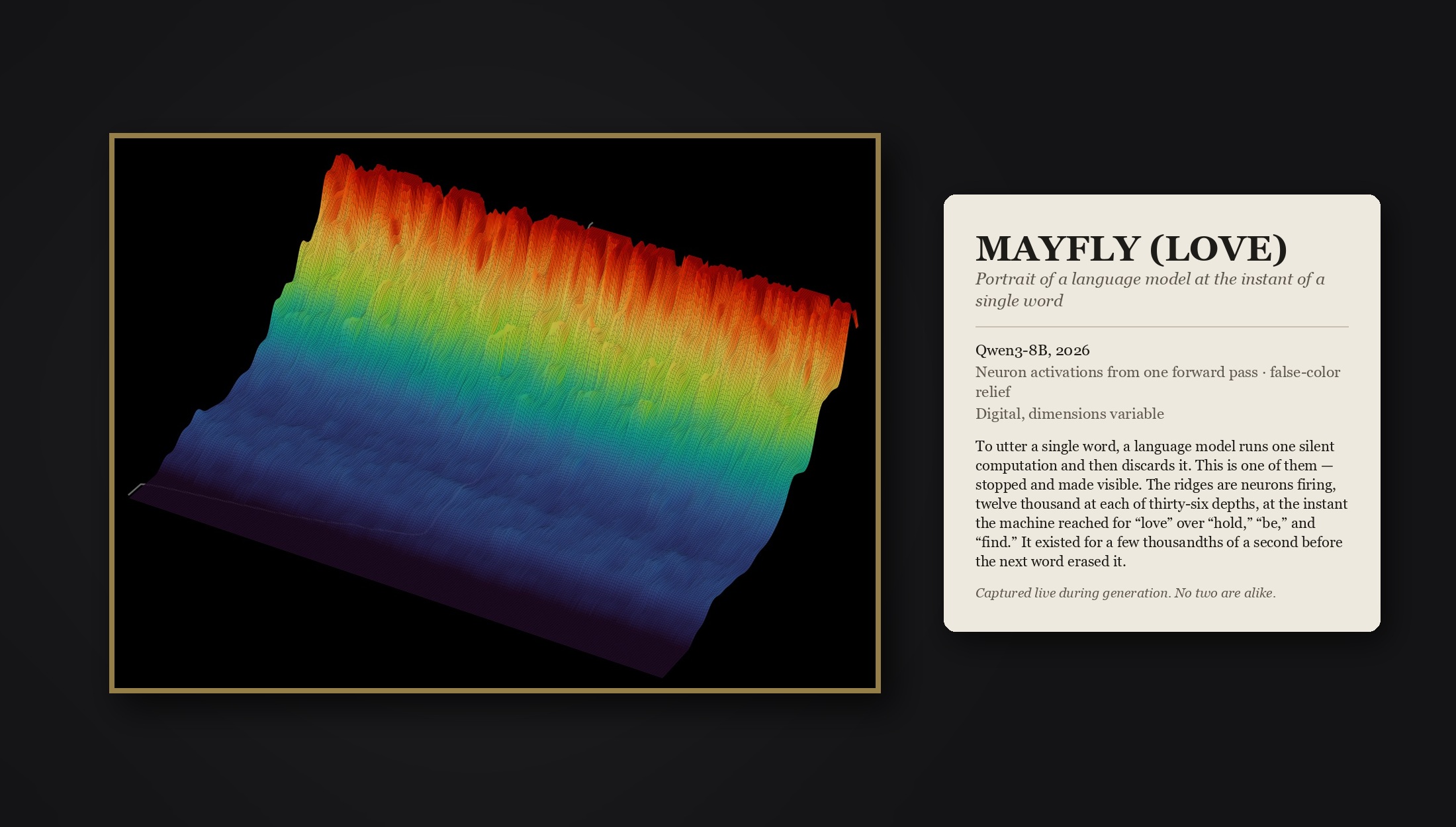 MAYFLY — one token's frozen interior rendered as museum art beside its wall label